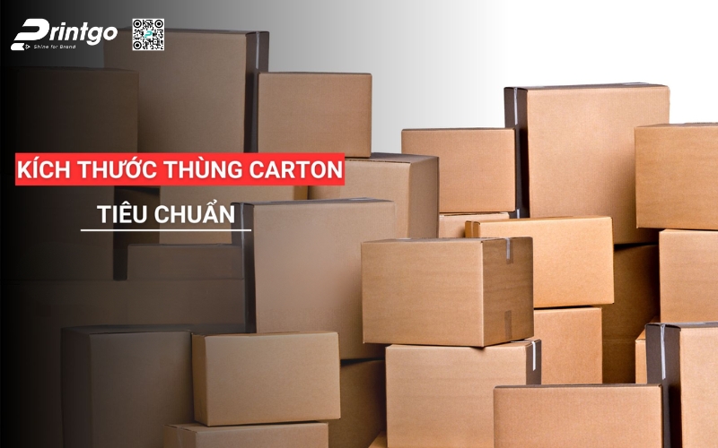 Hình dạng & kích thước bao bì xuất khẩu trái cây Hình dạng & kích thước bao bì xuất khẩu trái cây