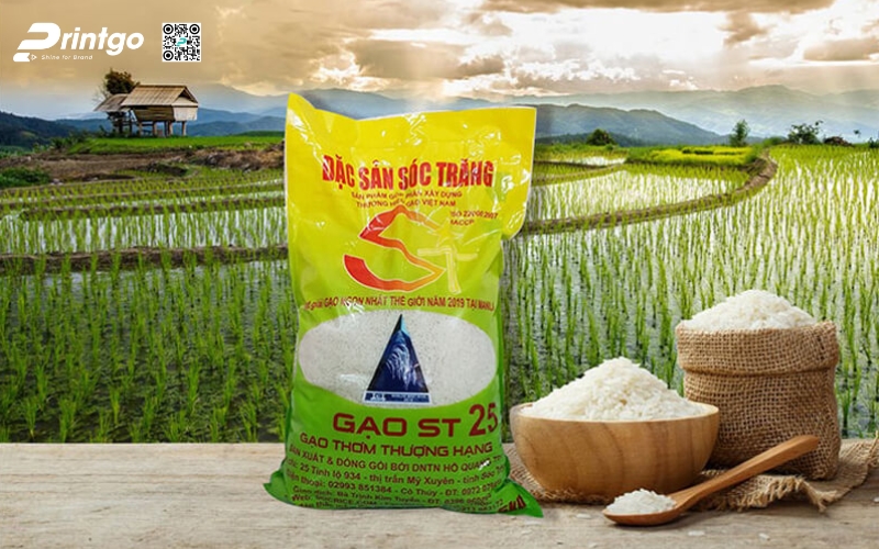 Kinh nghiệm lựa chọn mẫu in bao bì gạo phù hợp nhất Kinh nghiệm lựa chọn mẫu in bao bì gạo phù hợp nhất