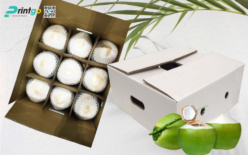 Một số tips và kinh nghiệm xuất khẩu dừa tươi thành công Một số tips và kinh nghiệm xuất khẩu dừa tươi thành công