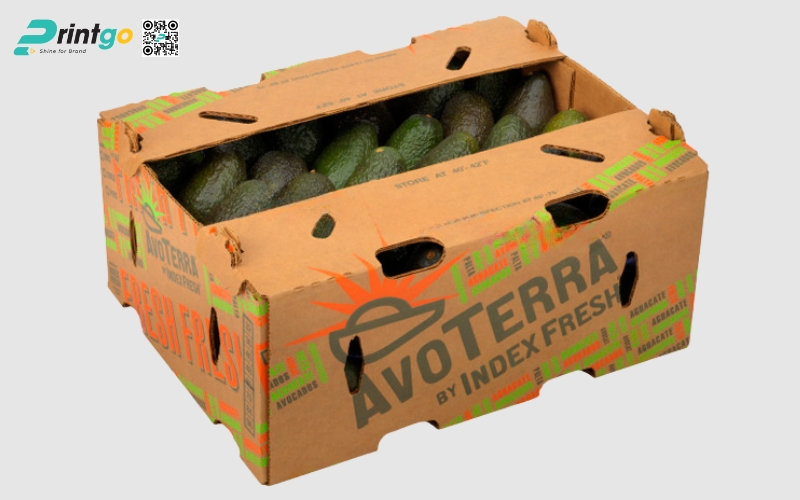 Mẫu thùng giấy đựng trái cây xuất khẩu bơ Mẫu thùng giấy đựng trái cây xuất khẩu bơ
