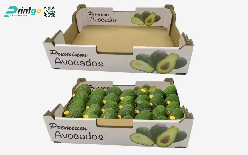 Mẫu bao bì xuất khẩu trái cây chuối Mẫu bao bì xuất khẩu trái cây chuối