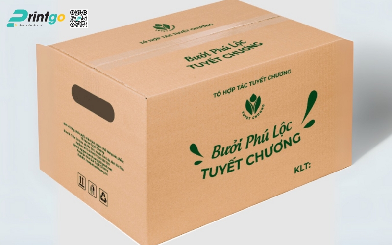 Mẫu bao bì xuất khẩu trái cây bưởi Mẫu bao bì xuất khẩu trái cây bưởi