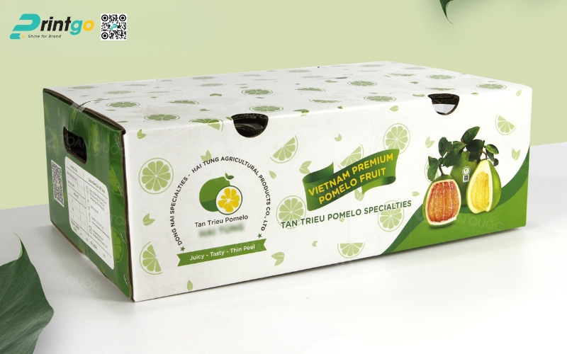 Mẫu bao bì xuất khẩu trái cây bưởi Mẫu bao bì xuất khẩu trái cây bưởi