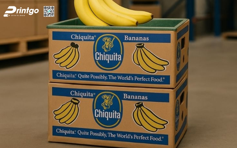 Mẫu bao bì xuất khẩu trái cây chuối Mẫu bao bì xuất khẩu trái cây chuối