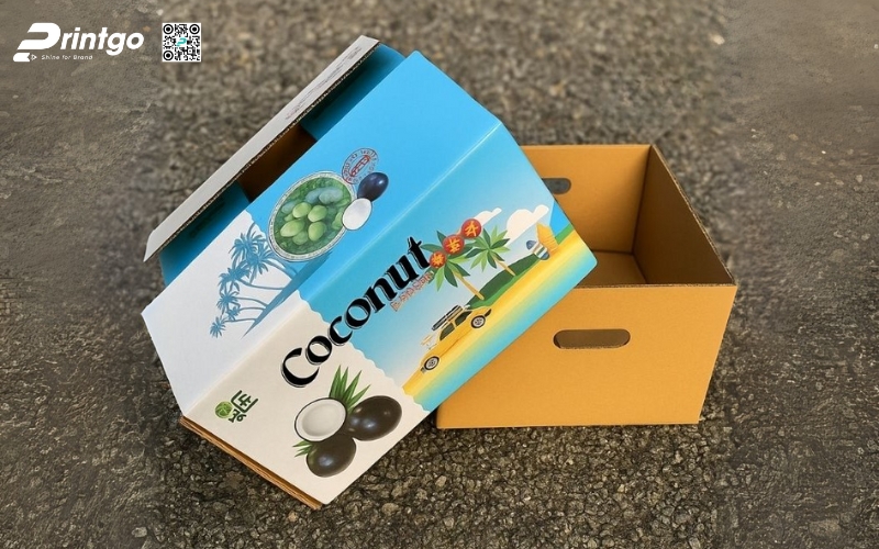 Mẫu thùng giấy đựng trái cây xuất khẩu dừa Mẫu thùng giấy đựng trái cây xuất khẩu dừa