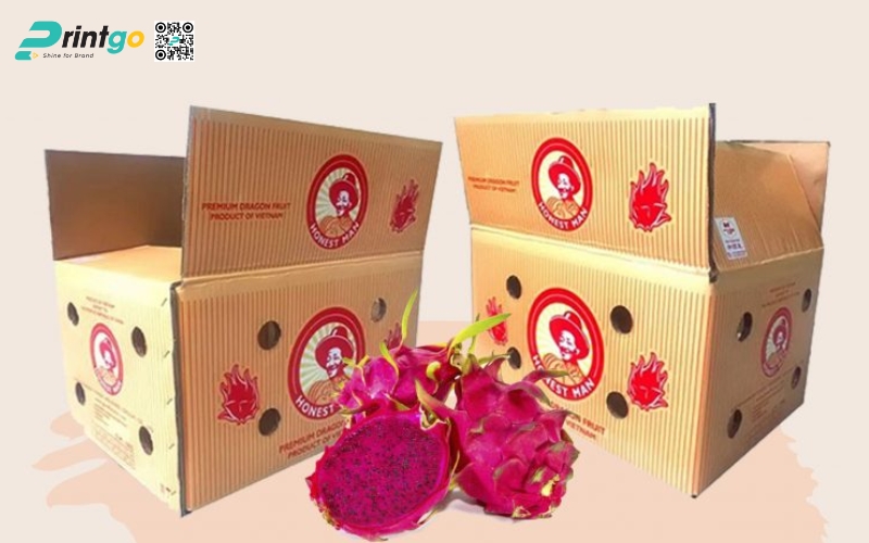 Mẫu bao bì xuất khẩu trái cây thanh long Mẫu bao bì xuất khẩu trái cây thanh long