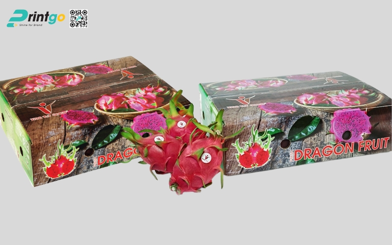 Mẫu bao bì xuất khẩu trái cây thanh long Mẫu bao bì xuất khẩu trái cây thanh long