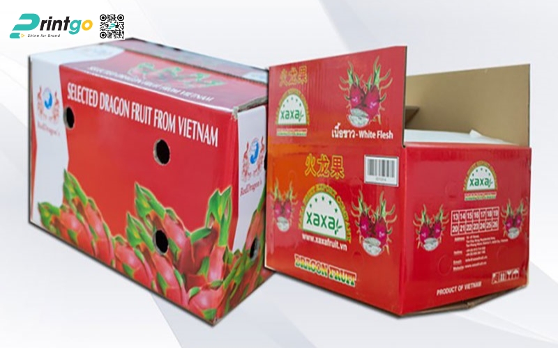 Mẫu bao bì xuất khẩu trái cây thanh long Mẫu bao bì xuất khẩu trái cây thanh long