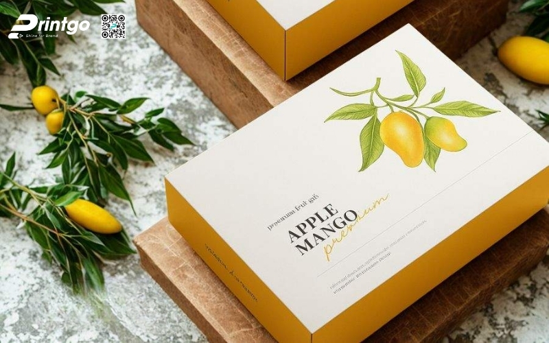 Mẫu thùng carton đựng trái cây xuất khẩu xoài Mẫu thùng carton đựng trái cây xuất khẩu xoài