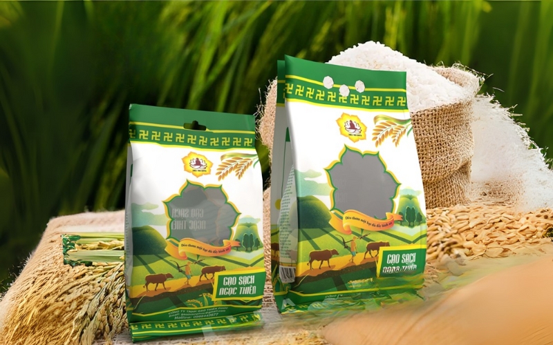 Mẫu in bao bì gạo 5kg - 10kg phổ biến cho hộ kinh doanh nhỏ Mẫu in bao bì gạo 5kg - 10kg phổ biến cho hộ kinh doanh nhỏ