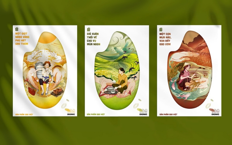 Mẫu hộp đựng gạo thiết kế sang trọng - cao cấp Mẫu hộp đựng gạo thiết kế sang trọng - cao cấp