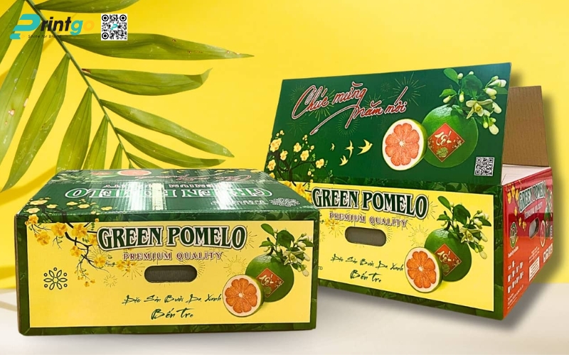 Mẫu bao bì xuất khẩu trái cây bưởi Mẫu bao bì xuất khẩu trái cây bưởi