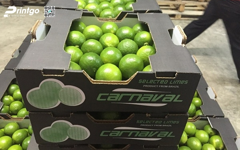 Mẫu bao bì xuất khẩu trái cây chanh Mẫu bao bì xuất khẩu trái cây chanh