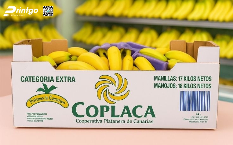 Mẫu bao bì xuất khẩu trái cây chuối Mẫu bao bì xuất khẩu trái cây chuối