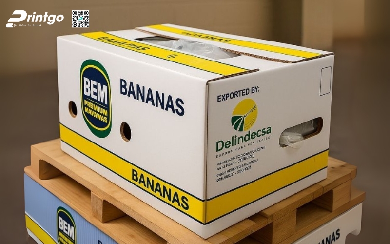 Mẫu bao bì xuất khẩu trái cây chuối Mẫu bao bì xuất khẩu trái cây chuối