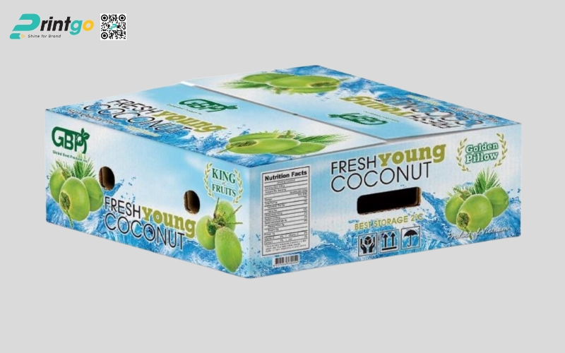 Mẫu thùng giấy đựng trái cây xuất khẩu dừa Mẫu thùng giấy đựng trái cây xuất khẩu dừa