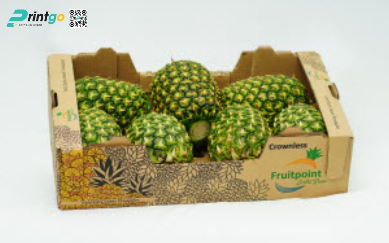 Mẫu thùng giấy đựng trái cây xuất khẩu dứa Mẫu thùng giấy đựng trái cây xuất khẩu dứa