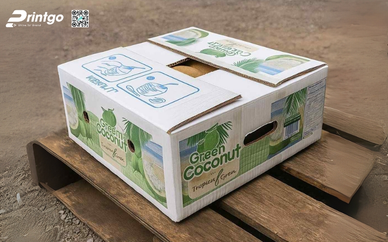 Mẫu thùng giấy đựng trái cây xuất khẩu dừa Mẫu thùng giấy đựng trái cây xuất khẩu dừa