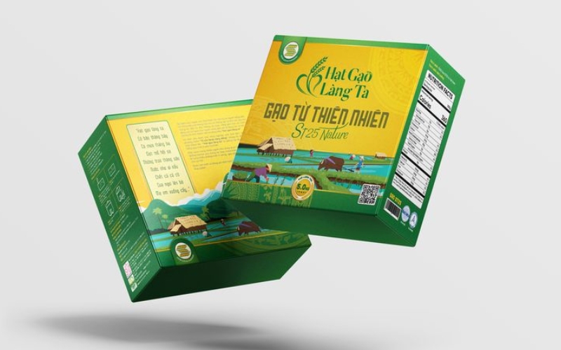 Mẫu hộp đựng gạo thiết kế sang trọng - cao cấp Mẫu hộp đựng gạo thiết kế sang trọng - cao cấp