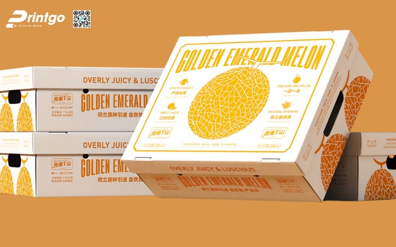 Mẫu thùng carton đựng trái cây xuất khẩu dưa lưới Mẫu thùng carton đựng trái cây xuất khẩu dưa lưới