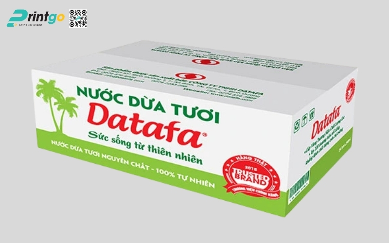 Mẫu thùng carton đựng dừa xiêm xuất khẩu đạt chuẩn 2026 Mẫu thùng carton đựng dừa xiêm xuất khẩu đạt chuẩn 2026