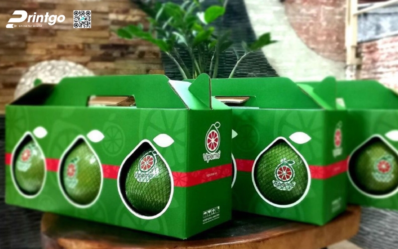 Mẫu bao bì xuất khẩu trái cây bưởi Mẫu bao bì xuất khẩu trái cây bưởi