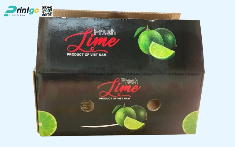 Mẫu bao bì xuất khẩu trái cây chanh Mẫu bao bì xuất khẩu trái cây chanh