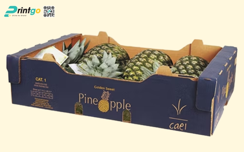 Mẫu thùng giấy đựng trái cây xuất khẩu dứa Mẫu thùng giấy đựng trái cây xuất khẩu dứa
