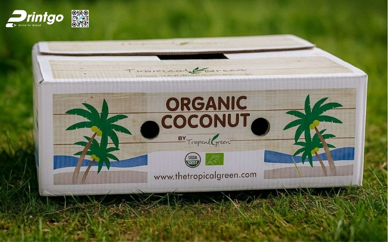 Mẫu thùng giấy đựng trái cây xuất khẩu dừa Mẫu thùng giấy đựng trái cây xuất khẩu dừa