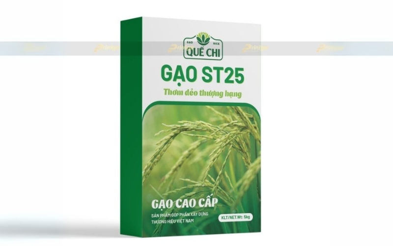 Mẫu hộp đựng gạo thiết kế sang trọng - cao cấp Mẫu hộp đựng gạo thiết kế sang trọng - cao cấp