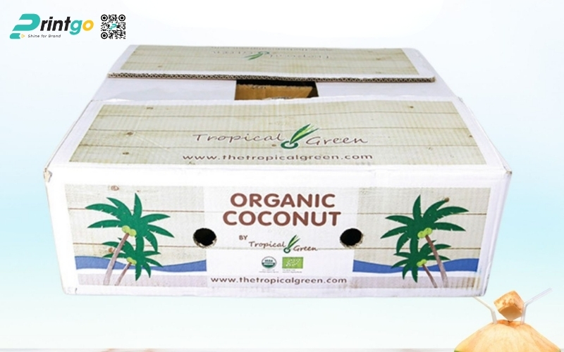 Mẫu thùng carton đựng dừa xiêm xuất khẩu đạt chuẩn 2026 Mẫu thùng carton đựng dừa xiêm xuất khẩu đạt chuẩn 2026