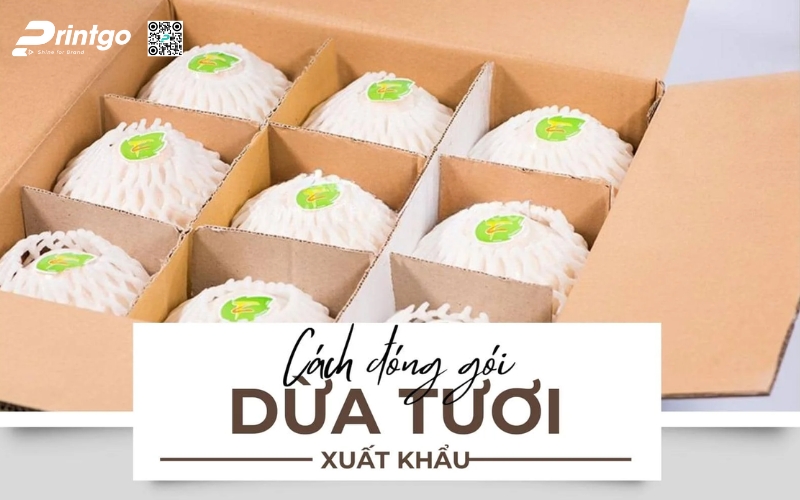 Cách đóng gói thùng dừa tươi xuất khẩu đạt chuẩn Cách đóng gói thùng dừa tươi xuất khẩu đạt chuẩn