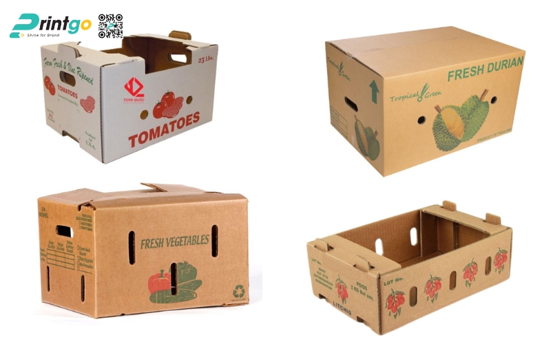 Quy định về bao bì xuất khẩu trái cây trên thị trường quốc tế Quy định về bao bì xuất khẩu trái cây trên thị trường quốc tế