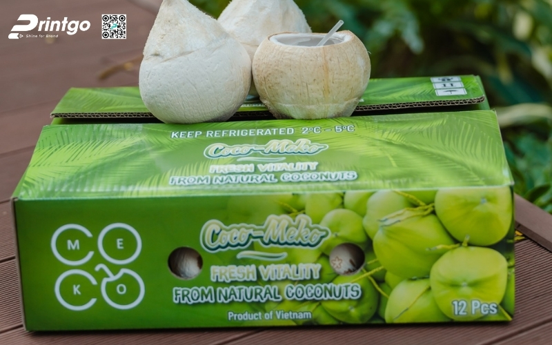 Mẫu thùng carton đựng dừa xiêm xuất khẩu đạt chuẩn 2026 Mẫu thùng carton đựng dừa xiêm xuất khẩu đạt chuẩn 2026