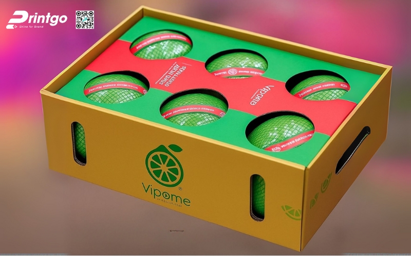 Mẫu bao bì xuất khẩu trái cây bưởi Mẫu bao bì xuất khẩu trái cây bưởi