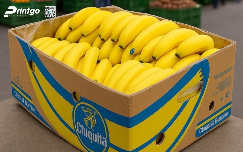 Mẫu bao bì xuất khẩu trái cây chuối Mẫu bao bì xuất khẩu trái cây chuối