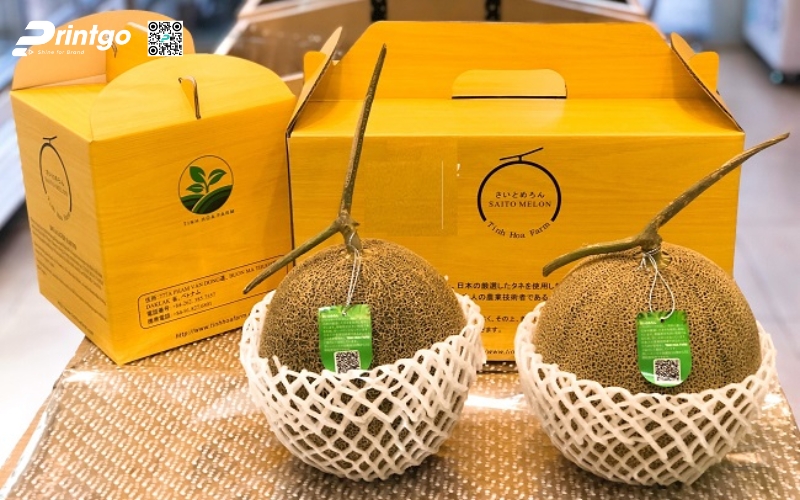 Mẫu thùng carton đựng trái cây xuất khẩu dưa lưới Mẫu thùng carton đựng trái cây xuất khẩu dưa lưới