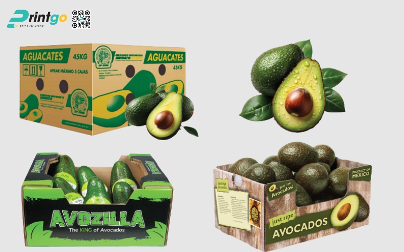 Mẫu thùng giấy đựng trái cây xuất khẩu bơ Mẫu thùng giấy đựng trái cây xuất khẩu bơ