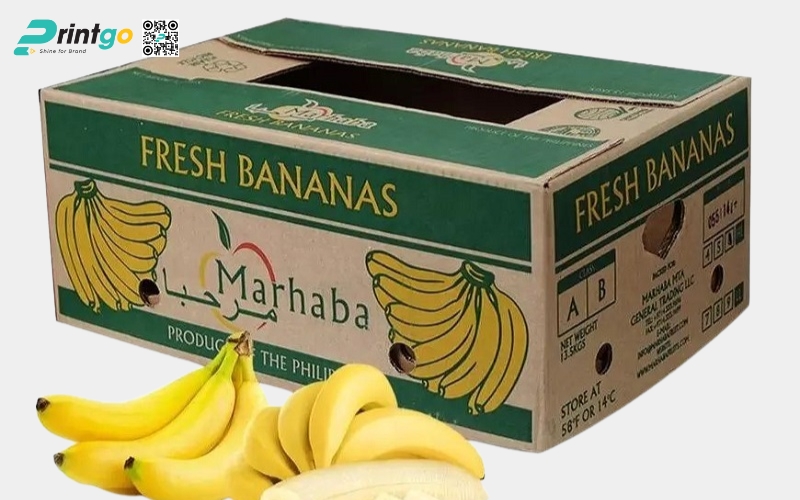 Mẫu bao bì xuất khẩu trái cây chuối Mẫu bao bì xuất khẩu trái cây chuối