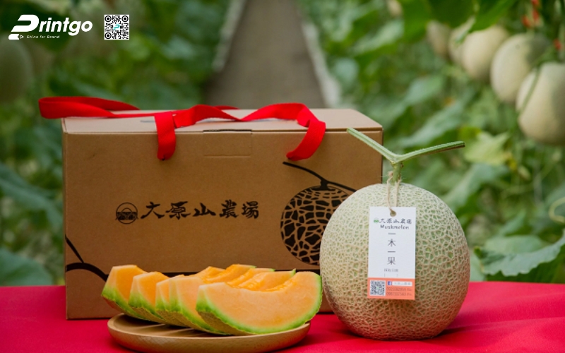 Mẫu thùng carton đựng trái cây xuất khẩu dưa lưới Mẫu thùng carton đựng trái cây xuất khẩu dưa lưới