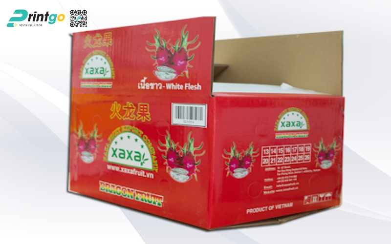 Mẫu bao bì xuất khẩu trái cây thanh long Mẫu bao bì xuất khẩu trái cây thanh long