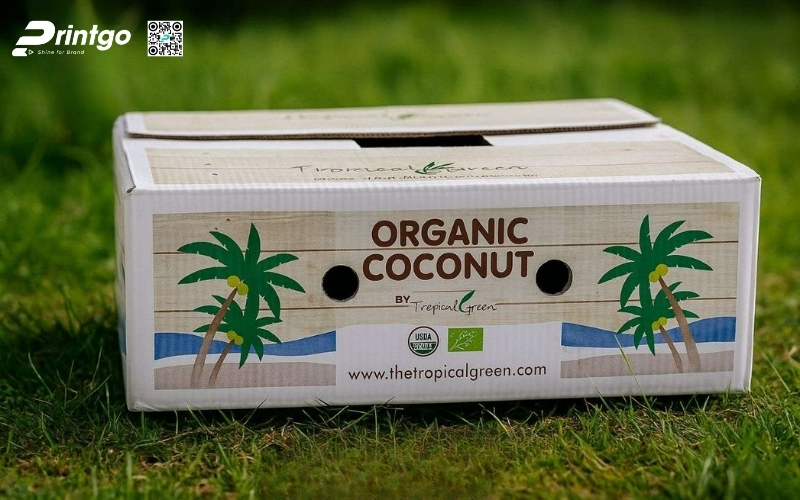 Bộ sưu tập thùng đựng dừa tươi xuất khẩu đạt chuẩn Bộ sưu tập thùng đựng dừa tươi xuất khẩu đạt chuẩn