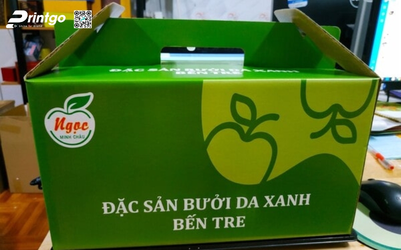 Mẫu bao bì xuất khẩu trái cây bưởi Mẫu bao bì xuất khẩu trái cây bưởi