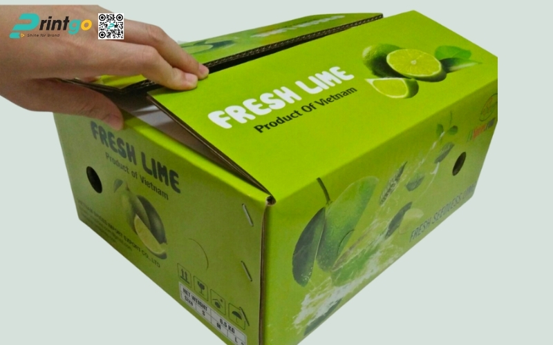 Mẫu bao bì xuất khẩu trái cây chanh Mẫu bao bì xuất khẩu trái cây chanh