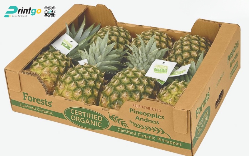 Mẫu thùng giấy đựng trái cây xuất khẩu dứa Mẫu thùng giấy đựng trái cây xuất khẩu dứa