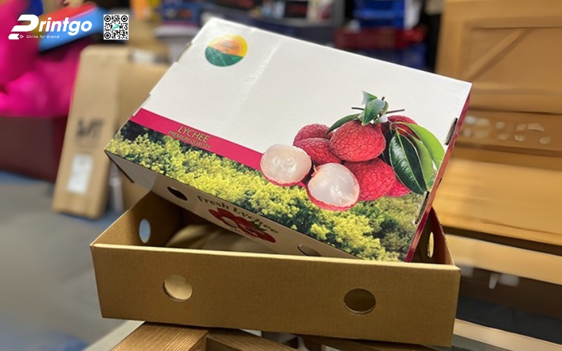 Mẫu thùng giấy đựng trái cây xuất khẩu vải Mẫu thùng giấy đựng trái cây xuất khẩu vải