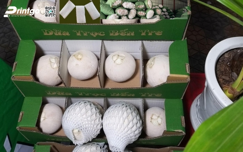 Bộ sưu tập thùng đựng dừa tươi xuất khẩu đạt chuẩn Bộ sưu tập thùng đựng dừa tươi xuất khẩu đạt chuẩn