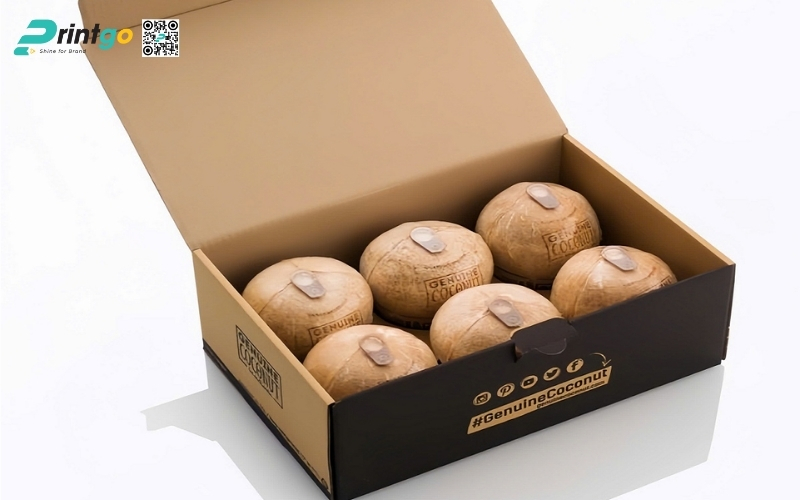 Bộ sưu tập thùng đựng dừa tươi xuất khẩu đạt chuẩn Bộ sưu tập thùng đựng dừa tươi xuất khẩu đạt chuẩn