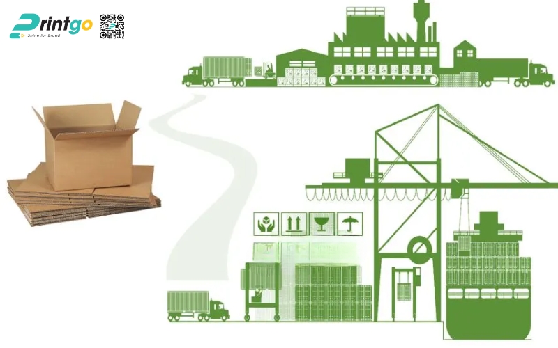 Tầm quan trọng của bao bì xuất khẩu trái cây đối với nông sản Việt Tầm quan trọng của bao bì xuất khẩu trái cây đối với nông sản Việt