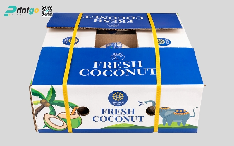 Bộ sưu tập thùng đựng dừa tươi xuất khẩu đạt chuẩn Bộ sưu tập thùng đựng dừa tươi xuất khẩu đạt chuẩn